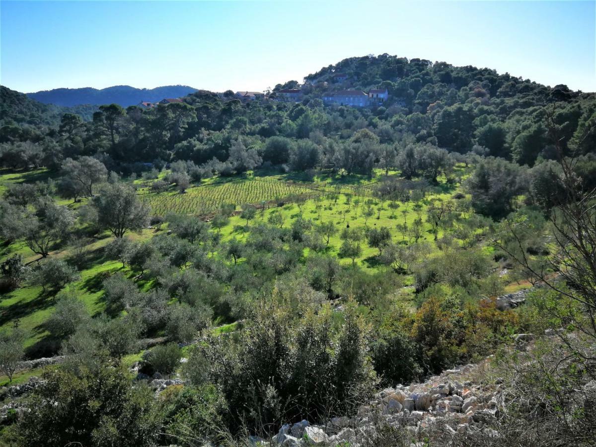 Agriculture & Holiday House Lasko Govedari Exterior photo